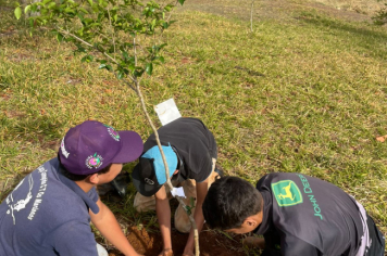 Foto relacionada - Prefeitura de Itaí celebra Dia da Árvore com plantio de mudas e valorização dos biomas locais