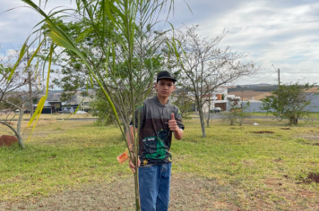 Foto relacionada - Prefeitura de Itaí celebra Dia da Árvore com plantio de mudas e valorização dos biomas locais