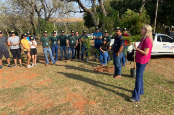 Foto relacionada - Prefeitura de Itaí celebra Dia da Árvore com plantio de mudas e valorização dos biomas locais