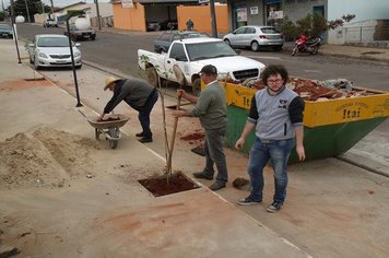 Secretaria de Meio Ambiente realiza arborização urbana em Itaí