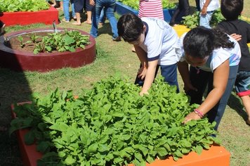 Projeto Horta Educativa já colhe resultados dos alunos da Rede Municipal de Ensino de Itaí