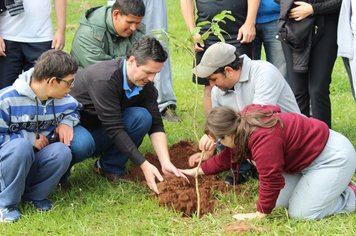 Prefeitura Comemora Dia Mundial Do Meio Ambiente Com Projeto Integrar E Escola Municipal