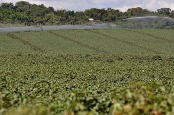 Município de Itaí está entre os 100 mais ricos do agro brasileiro