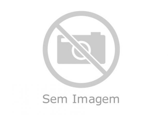 Adinan volta dos EUA com novos projetos a serem implantados