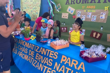 Foto - JEPP - Escola Elza Rolim