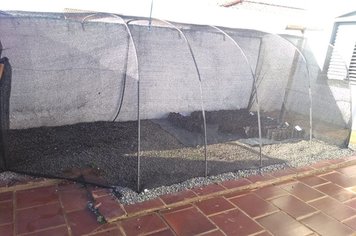 Prefeitura de Itaí constrói mini viveiro na Sala Verde